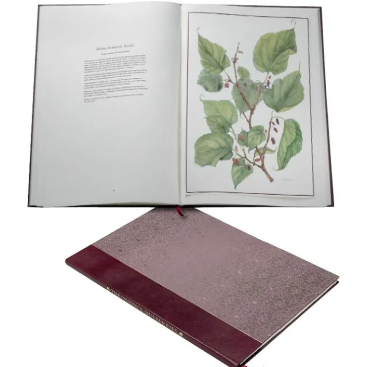Limited Edition The Queen'S Mulberries*Royal Collection Shop Discount